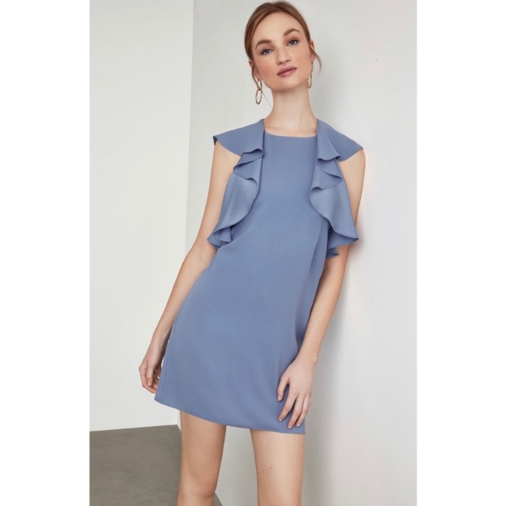 BCBG ruffle pink dress-NWT